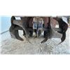 Image 6 : Earthquake 99cc Rear Tine Tiller, 2-Wheel Drive (Working)