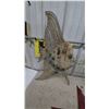 Image 2 : Decorative Metal Wall Art Including Fish, Ornate Sconce, Red Barn Star, Birds on Branch