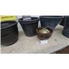 Image 3 : Assorted Plastic Planter Pots, Ribbed Blue and Black, Glazed Ceramic Bowl