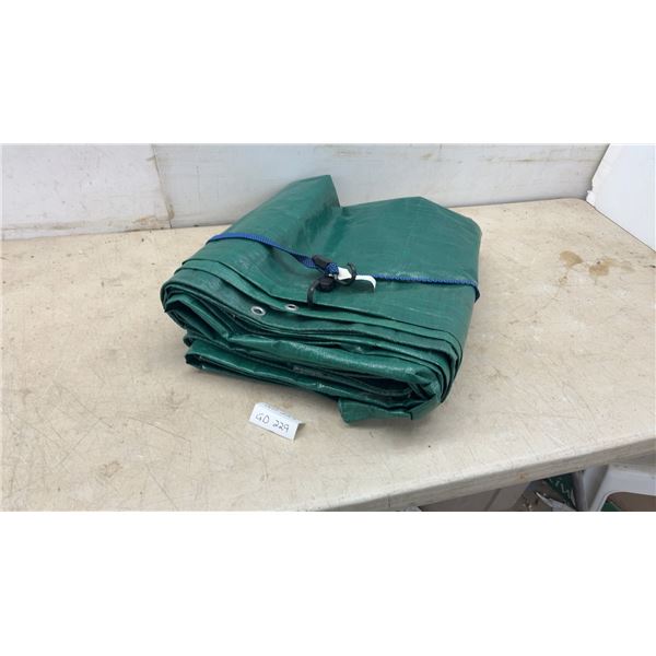 Green Tarp