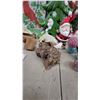 Image 6 : Latch Hook Kit Cardinal, Dancing Santa, Candle Lights