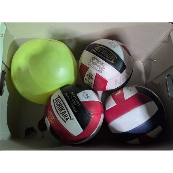 Volleyballs and Practice Ball Set, 4 Pieces