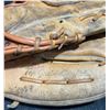 Image 12 : 3 Vintage Baseball Gloves Incl A Pro-Line Model 0500
