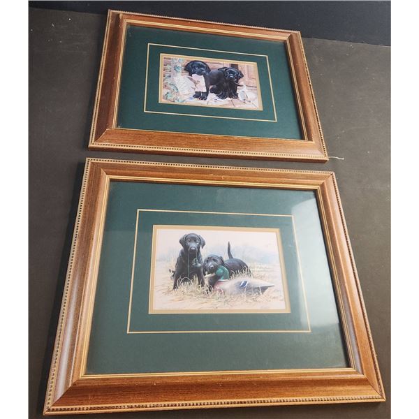 Framed Prints of Black Lab Puppies