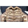 Image 10 : Fur Collared, Tan Belted Leather Coat With Fur Cuffs 