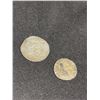 Image 1 : Medieval Silver Coins in Velvet Universal Jewellers Box