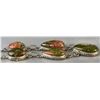 Image 17 : Stamped .925 Silver Unakite Jewelry Set With Necklace, Bracelet, Earrings, and Pendants
