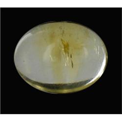 4.73ct Natural & Unheated Citrine Cabochon (GEM-20862)