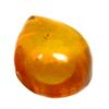 .8ct Natural Baltic Honey Amber Gemstone  (GEM-11120B)