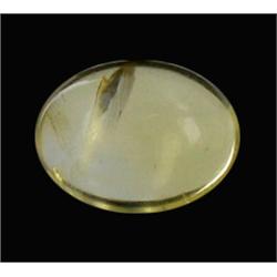 5.33ct Natural & Unheated Citrine Cabochon (GEM-20857)