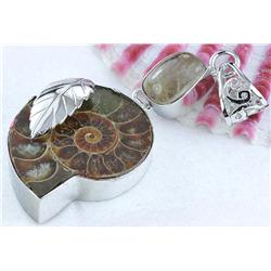 88ctw  Ammonite Fossil Gold Vermeil Pendant (JEW-1301)