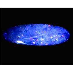 3.17ct Australian Black Opal Doublet Full Fire (GEM-22609C)