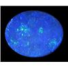 2.3ct Australian Black Opal Doublet Full Fire (GEM-22622D)