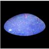 2.7ct Australian Black Opal Doublet Full Fire (GEM-22590C)