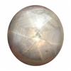 25ct Gray Biue Star Sapphire Natural 6 Ray (GEM-19766)