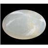 11.81ct Cabochon Exotic Milky Opal Gemstone  (GEM-25543)