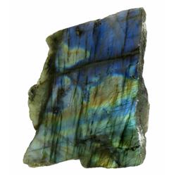 365ct Gem Grade Labradorite Polished Slab Neon Peacock Colors (GEM-21140)