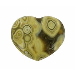 75.3ct Colorful Gem Grade Sea Jasper Heart (GEM-21159)