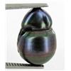 12.63ct South Sea Saltwater Baroque Pearl Iridescent Black/Purple RARE 16mm (JEW-1886)
