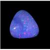 4.21ct Australian Black Opal Doublet Full Fire (GEM-22601B)