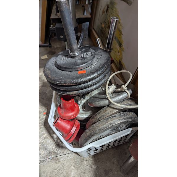 Assorted Weightlifting Equipment w/ Curl Bar, Weight Plates & Dumbbells