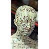 Image 3 : Chinese Acupuncture Meridian & Pressure Point Training Model