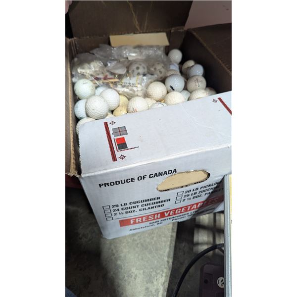 Bulk Lot of Assorted Golf Balls