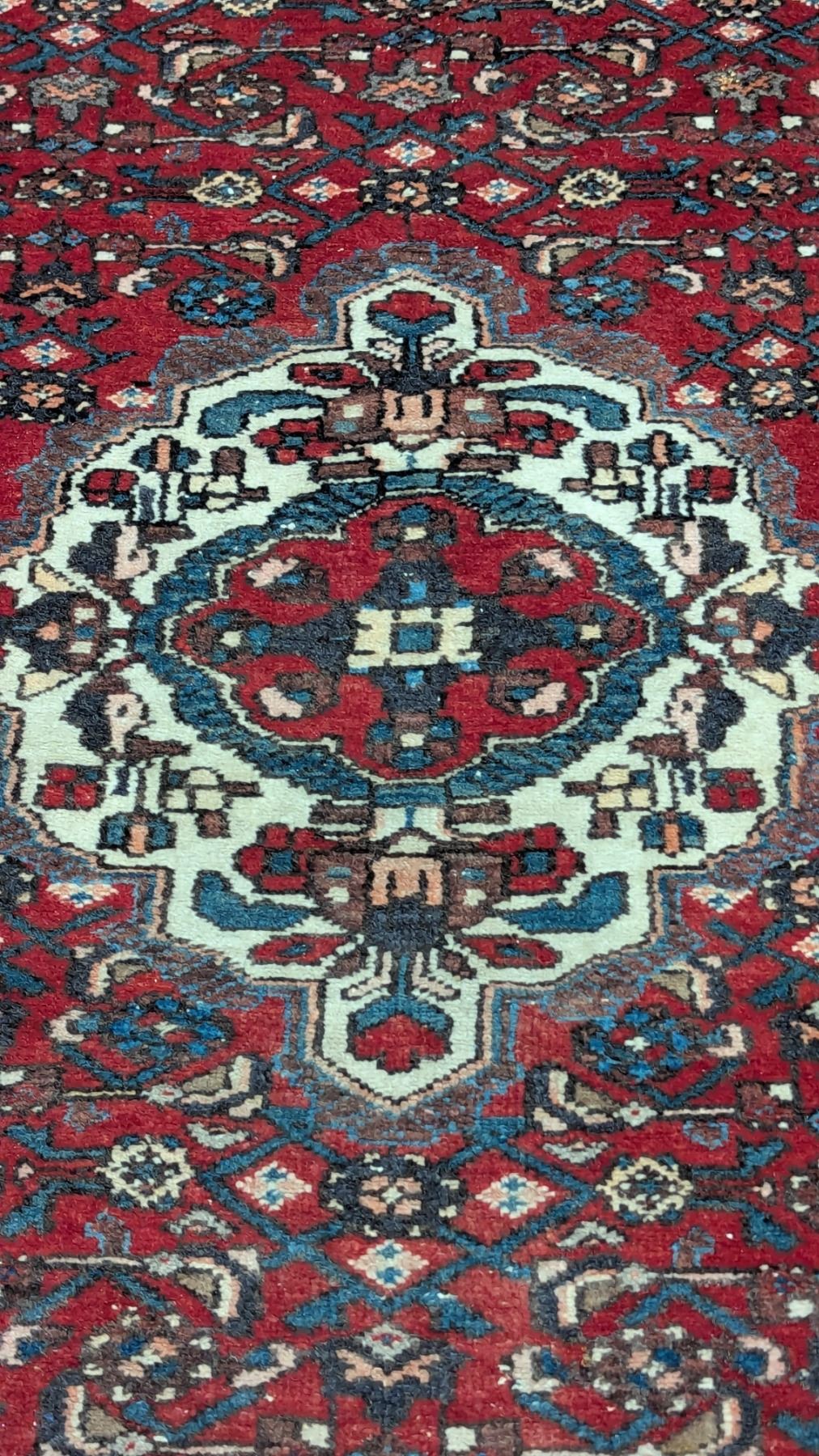 Persian-Style Red Area Rug