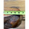 Image 6 : Boogie Beach BC Handcrafted Cedar Burl Keepsake Box