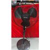 Image 1 : Pelonis Black Standing Fan