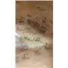 Image 2 : Acupuncture Ear Display Model