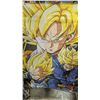 Image 3 : Posters and Scrolls, Dragon Ball Z, Bruce Lee, Trinity Blood, Slipknot