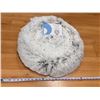 Image 1 : 23” MEMORY FOAM DOG BED