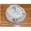 Image 1 : 23” MEMORY FOAM DOG BED