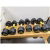 Image 1 : LOT OF 6 ZIVA TRIBELL DUMBBELLS (2x10LB 2x12LB 2x16LB)