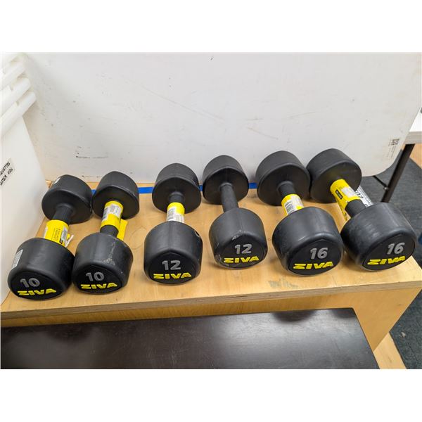 LOT OF 6 ZIVA TRIBELL DUMBBELLS (2x10LB 2x12LB 2x16LB)