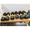Image 1 : LOT OF 6 ZIVA TRIBELL DUMBBELLS (2x10LB 2x12LB 2x16LB)