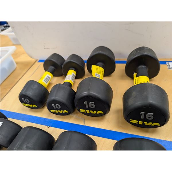 LOT OF 4 ZIVA TRIBELL DUMBBELLS (2x10LB 2x16LB)