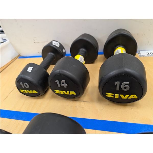 LOT OF 3 ZIVA TRIBELL DUMBBELLS (1x10LB 1x14LB 1x16LB)