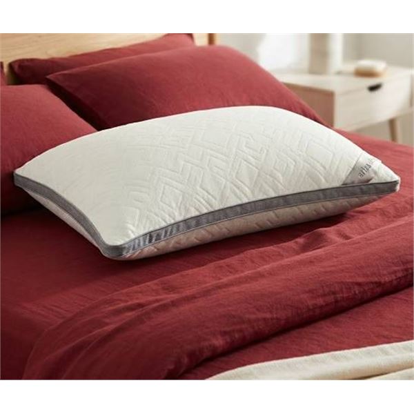 Ariza Sleep Bamboo Comfort Queen Pillow