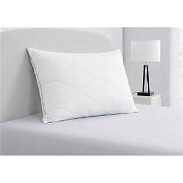 Kate Spade Queen Bed Pillow 51x71cm