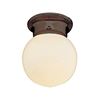Image 2 : Trans Globe 3606 ROB Light Fixture