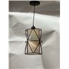 Image 3 : Dnshjue Modern Black Pendant Light Fixture