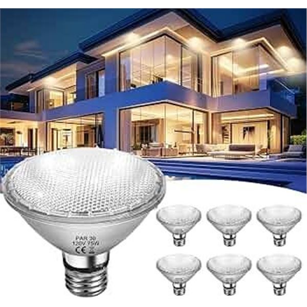 Nioclere PAR30 120V 39W Light Bulb Box of 6