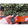 Image 5 : Artificial Boxwood Hedge Panels With Lights