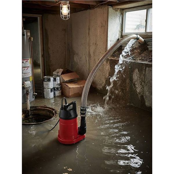 Red Lion RL25U Multi-Purpose Pump