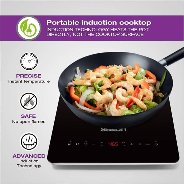 Salton ID2066 Induction Cooker
