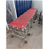 Image 5 : Best Packaging Flex Conveyor with Red Rollers