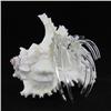 Image 1 : Hand Formed Glass Hermit Crab  (DEC-266)