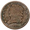 Image 4 : Quartet of Classic Head Half Cents